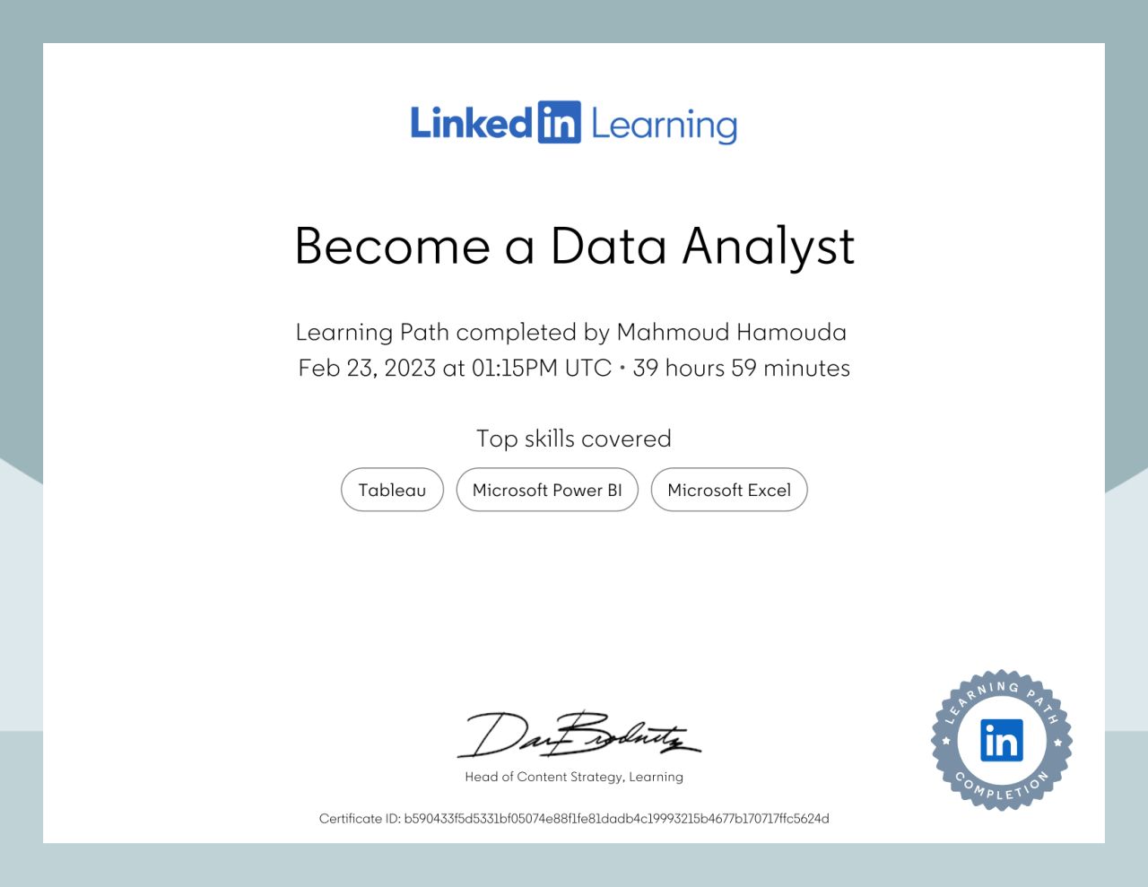 Become a Data Analyst