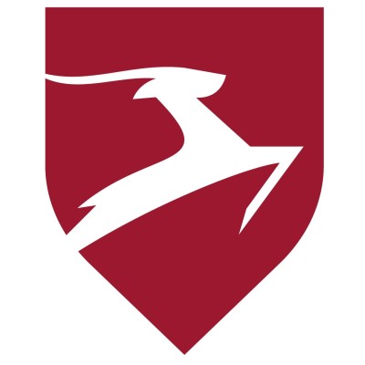 United Insurance | التأمينات المتحدة